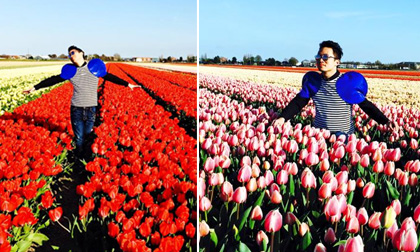 Tùng Dương 'điệu' giữa rừng hoa tulip