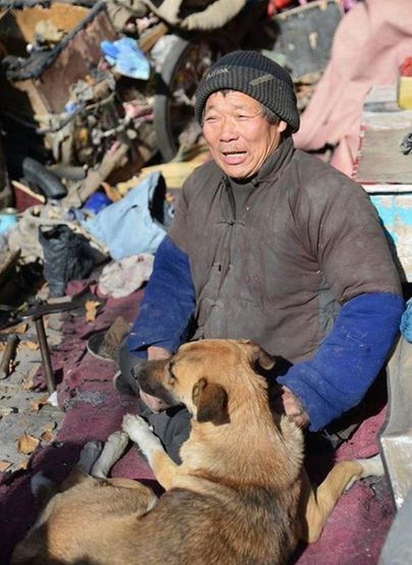 Cảm động chú chó đẩy xe lăn cho chủ bị tàn tật đi sửa giày mưu sinh 1