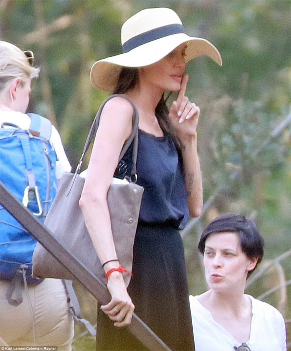 Angelina Jolie lộ 3 hình xăm mới 1