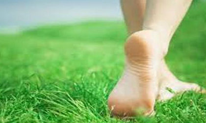 Lợi ích sức khỏe bất ngờ khi đi chân trần 5 phút mỗi ngày