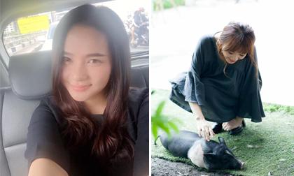 Tin sao Việt mới ngày 22/7: Bà bầu Phan Như Thảo đã tăng 15 kg, Hari Won thích thú chụp với chú heo