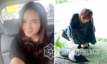 Tin sao Việt mới ngày 22/7: Bà bầu Phan Như Thảo đã tăng 15 kg, Hari Won thích thú chụp với chú heo