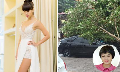 Tin sao Việt mới ngày 28/7: Hà Anh thử váy cưới, xe của Ngọc Khuê bị cây đổ trúng do bão