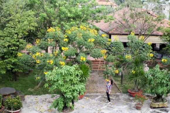 Ngắm nhà vườn 7000 m2 ngập tràn sắc xuân của ca sĩ Ánh Tuyết