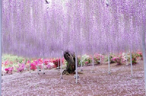 Những miền “bồng lai tiên cảnh” có thật trên thế giới Những miền “bồng lai tiên cảnh” có thật trên thế giới