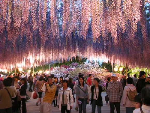 Những miền “bồng lai tiên cảnh” có thật trên thế giới Những miền “bồng lai tiên cảnh” có thật trên thế giới