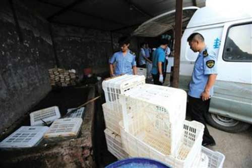 Tràn lan chân lợn Trung Quốc nhiễm chất tẩy rửa Tràn lan chân lợn Trung Quốc nhiễm chất tẩy rửa