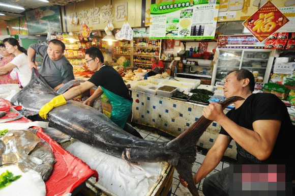 Bắt được cá kiếm khổng lồ dài dài 3 mét nặng hơn 2 tấn