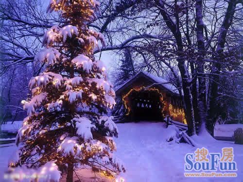giang sinh 2015, noel 2015, trang tri giang sinh, trang tri noel hop tuoi, do trang tri giang sinh, trang tri theo phong thuy