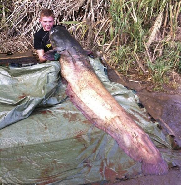 Cậu bé 14 tuổi câu được con cá da trơn khổng lồ nặng gần 100 kg