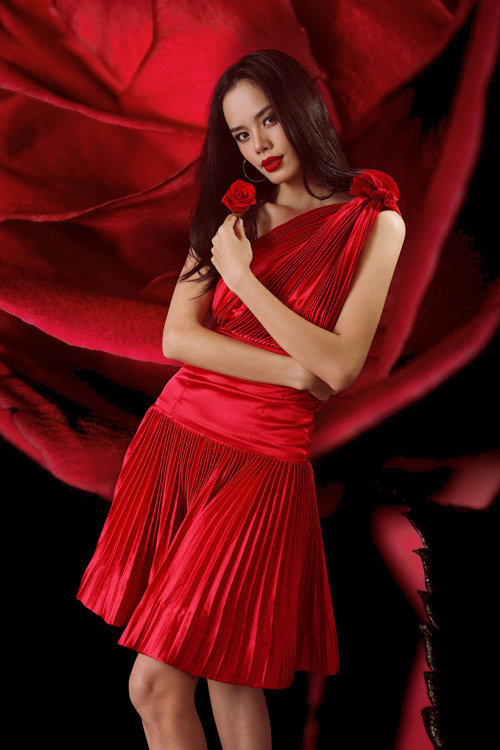 Hé lộ mơ ước năm 2015 của hoa hậu, người mẫu Việt - 6