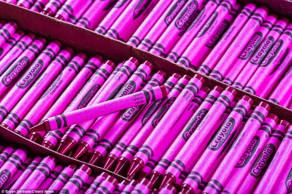 Nhà máy sản xuất bút chì đầy màu sắc ở Pennsylvania 13