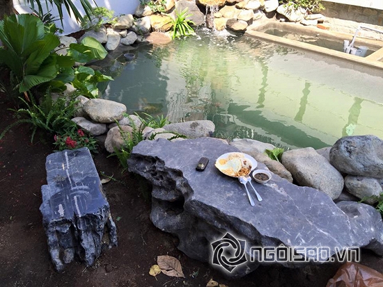 Cao Thái Sơn khoe bể cá mới xây lại hoành tráng như bể bơi 3