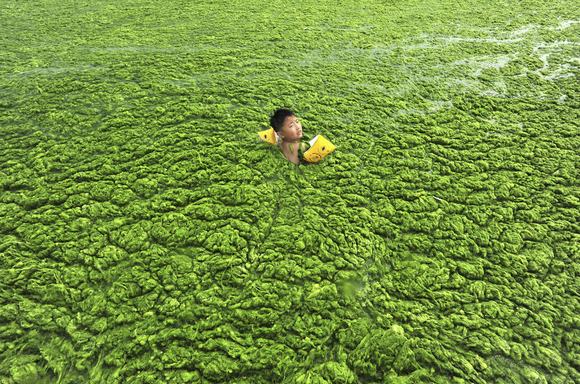ô nhiễm môi trường 19 ô nhiễm môi trường 19