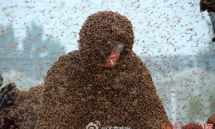 Liều mình để hàng triệu con ong đậu kín người