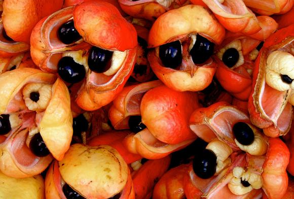 10 loại trái cây kỳ lạ bạn chưa hề biết đến