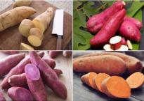 Thực phẩm được coi là 'vua' của các loại rau, có khả năng chống ung thư hàng đầu Thực phẩm được coi là 'vua' của các loại rau, có khả năng chống ung thư hàng đầu