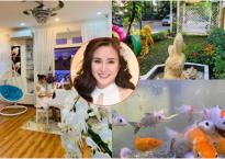 Biệt thự vài triệu đô ngập tràn sắc xuân của ca sĩ Vy Oanh Biệt thự vài triệu đô ngập tràn sắc xuân của ca sĩ Vy Oanh