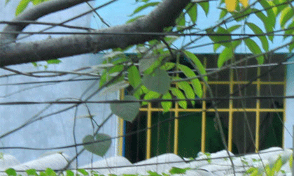 Hà Nội: Phát hiện xác nữ sinh bốc mùi tại phòng trọ