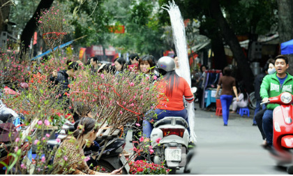 Miền Bắc đón Tết Nguyên đán trong mưa lộc và rét đậm