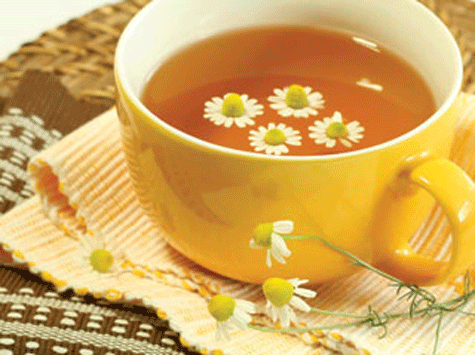 Triệt lông,triệt lông bằng trà hoa cúc,công dụng của trà hoa cúc