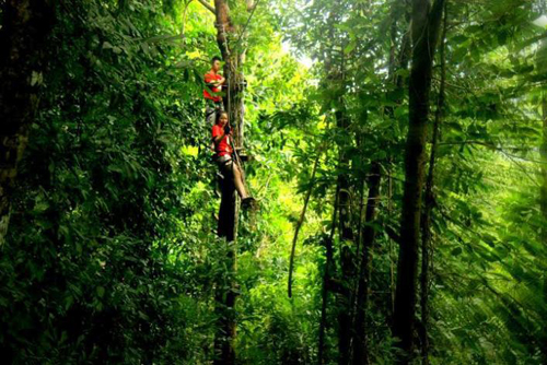 Lối sống trẻ, Zipline, Mountain Dew, Chinh phục thử thách
