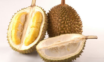 10 công dụng bất ngờ từ quả thum thủm
