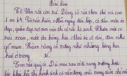 Thú Vị Bài Văn Miêu Tả Cô Giáo Của Học Sinh Lớp 5