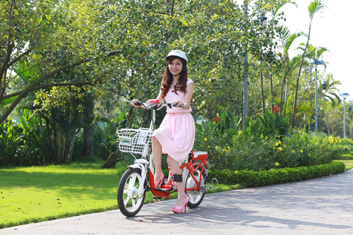 HKbike Zinger Extra, Xe đạp điện, Xe HKbike