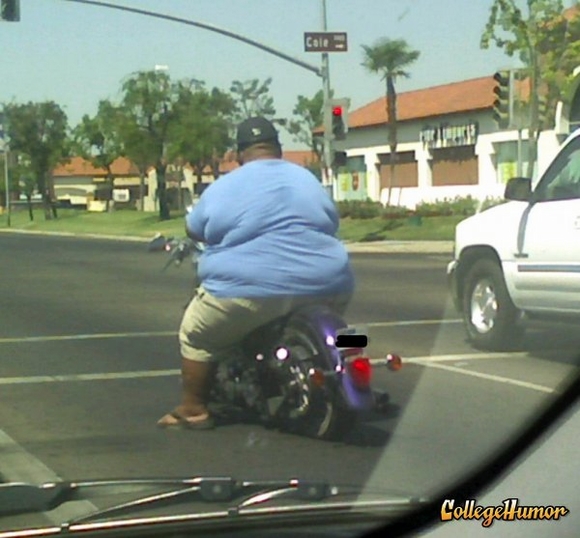 Đi xe không béo được thì cứ vô tư trổ tài bụng bự với đề tài người béo phì đi xe ảnh hài hước. Các bức ảnh này sẽ khiến bạn phải cười đến rụng răng. Hãy xem ngay!