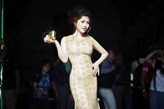 Ngọc Trân Anh, Ca sĩ Ngọc Trân Anh, Sao Việt