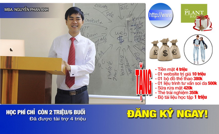 Quảng cáo và bán hàng  trực tuyến để tăng doanh số, MBA Nguyễn Phan Anh, quảng cáo và markerting