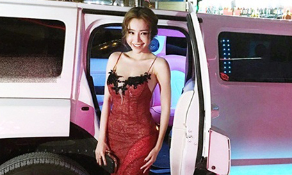 Đinh Ngọc Lan, Hoa hậu Nhân ái Đinh Ngọc Lan, Sao Việt