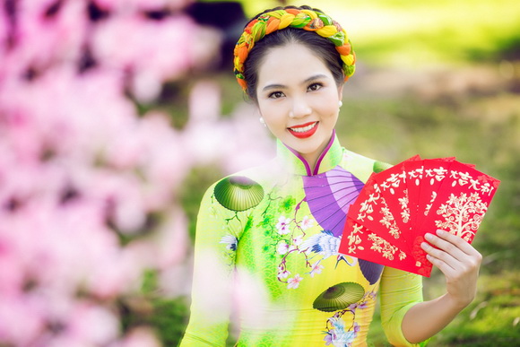Dương Kim Ánh, Dương Kim Ánh áo dài, Sao Việt