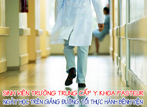 Trung cấp Y, Trường Trung cấp Y khoa Pasteur, Học ngành Y