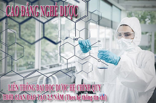 Ngành dược, Học dược, Cao đẳng dược, Trung cấp dược