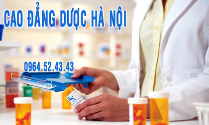 Lấy vợ Dược sĩ, Con gái ngành y, Cao đẳng Dược Hà Nội, Nghề dược