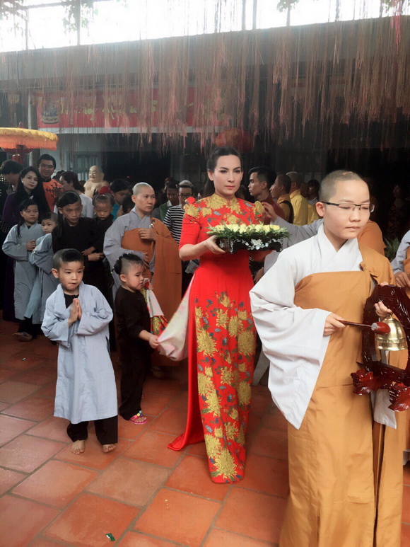 Phi Nhung, Ca sĩ Phi Nhung, Sao Việt