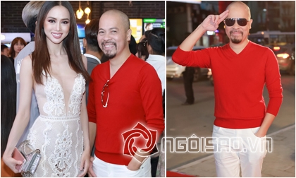 Mai Lệ Quyên, Ca sĩ Mai Lệ Quyên, Sao Việt