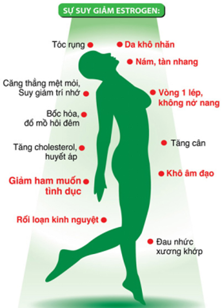 Suy giảm nội tiết tố, Viên uống hoa thiên, suy giảm Estrogen