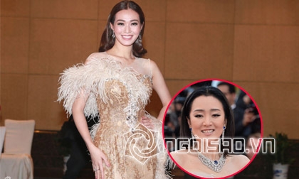 Mrs Áo Dài 2016, Nguyễn Trần Hải Dương, Sao Việt