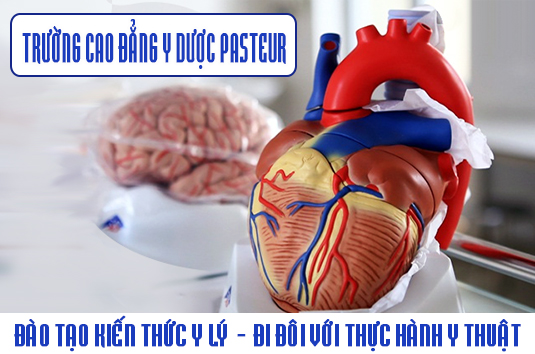 Cao đẳng Y Dược, Trường Cao đẳng Y Dược Pasteur, Xét tuyển cao đẳng y dược