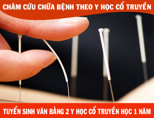 Y sĩ Y học cổ truyền, Thầy thuốc Y học cổ truyền, đào tạo Y học cổ truyền