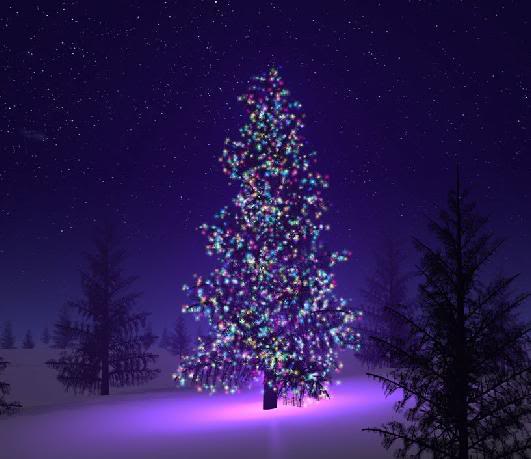 Sự thật cây thông Noel: Bạn đã bao giờ tò mò về lịch sử và sự thật về cây thông Noel? Nhấp chuột và xem hình ảnh này để khám phá những thông tin thú vị về nguồn gốc và lý do tại sao cây thông Noel lại trở nên phổ biến trong mùa lễ hội.