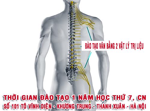 Vật lý trị liệu Phục hồi chức năng, Y Dược cổ truyền, Trường Cao đẳng Y Dược Pasteur Hà Nội