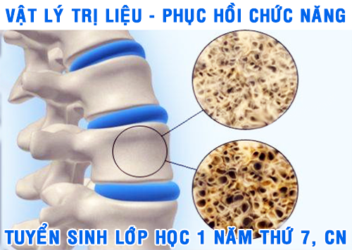 Vật lý trị liệu Phục hồi chức năng, Y Dược cổ truyền, Trường Cao đẳng Y Dược Pasteur Hà Nội