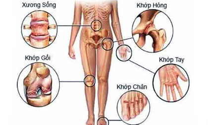 Cao đẳng Y Dược, Học ngành Y, Học ngành Dược, Trường Cao đẳng Y Dược Pasteur