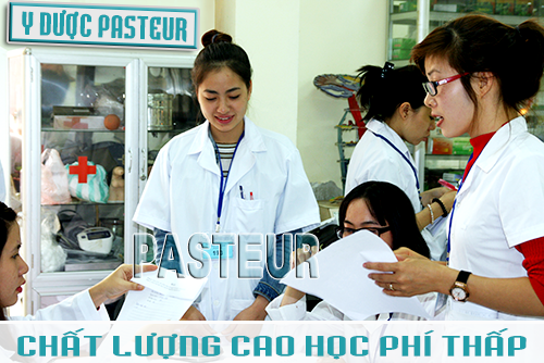 Cao đẳng Y Dược, Học ngành Y, Học ngành Dược, Trường Cao đẳng Y Dược Pasteur
