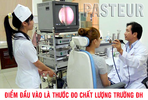 Cao đẳng Y, Cao đẳng Dược, Học ngành Y Dược
