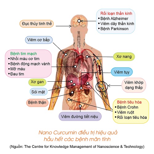 TPCN Nano Rocori, Phòng ngừa ung thư, Giảm tác hại ung thư